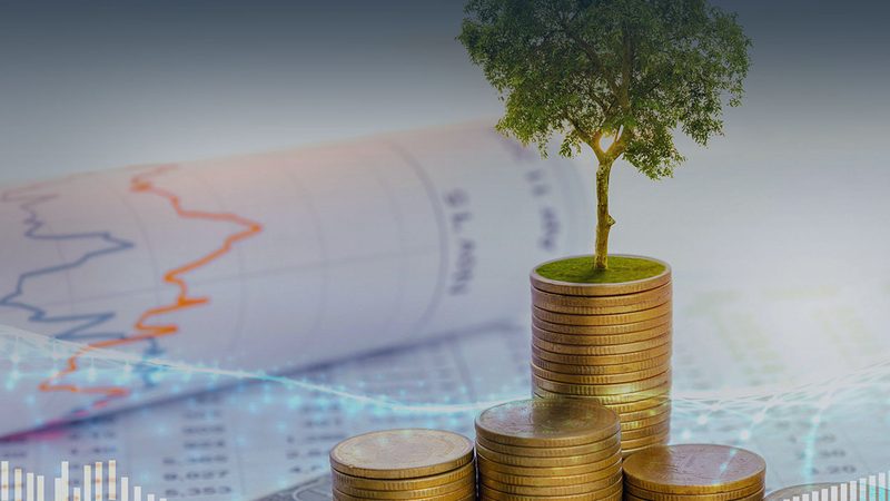 养殖场可行性研究报告：关键参数解析与要求**